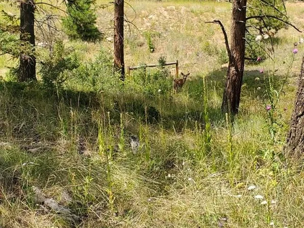 27793 Fawn Drive, Conifer, CO 80433