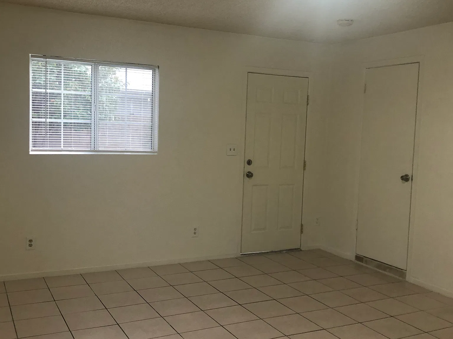 1 bed, 250 sqft, $1,500 — Photo 2
