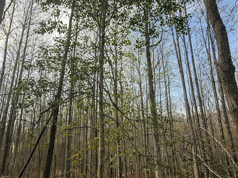 1st image of 0 Circle Rd