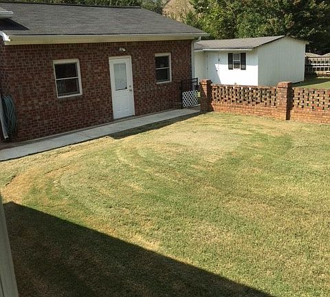 Back Yard - Garage #2 & Shop