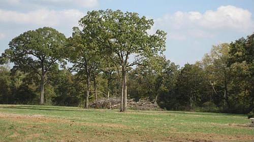 1st image of 16444 W County Road 344