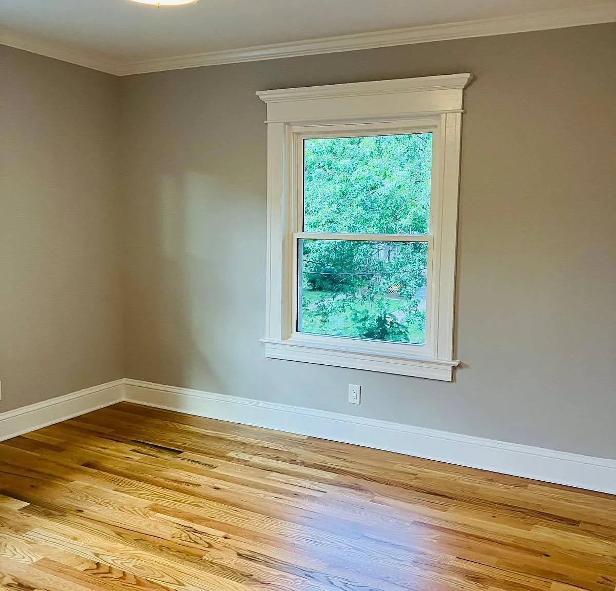 3 bed, 1.0 bath, 1200 sqft, $3,900 — Photo 4