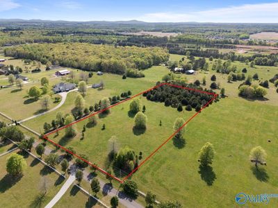 597 Beth Rd, New Market, AL, 35761
