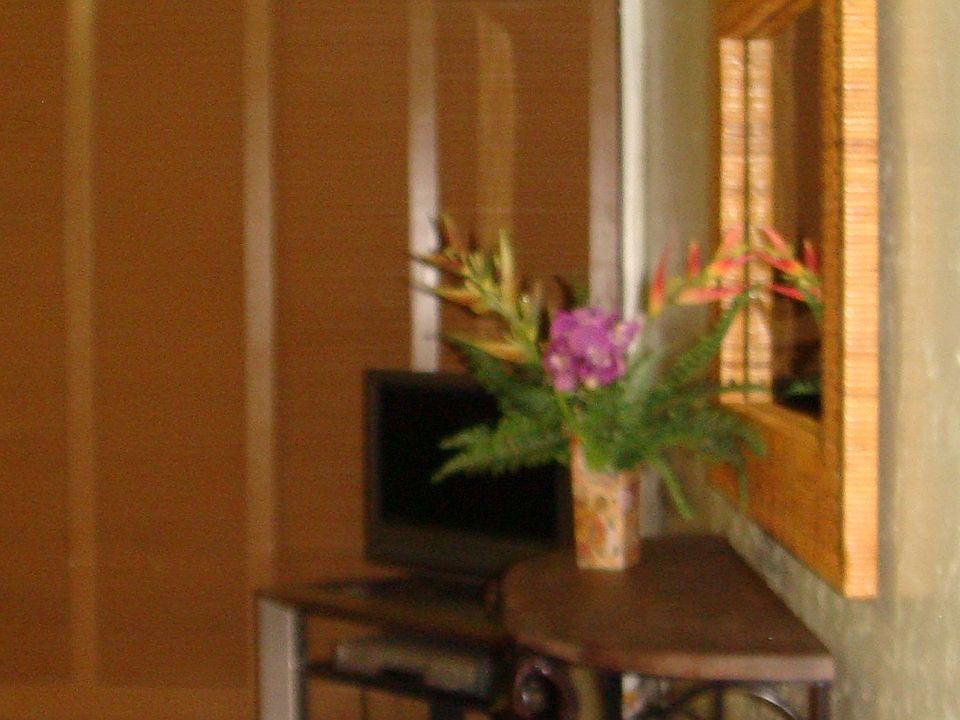 2nd image of 400 Hualani St APT 321