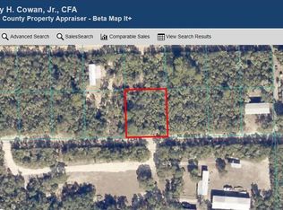 NE 233rd St LOT 15, Fort Mc Coy, FL 32134