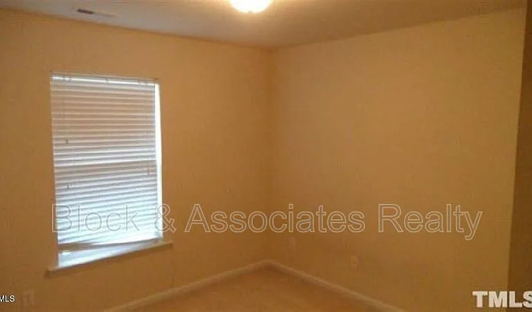 132 Linden Park Ln — Photo 9