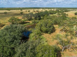 546 PR Goose Creek Ln, Jourdanton, TX 78026