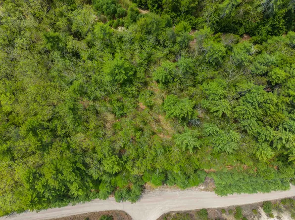lot 15 Pine Point Road #15, New Durham, NH 03855