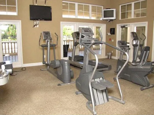 Workout in the Gym