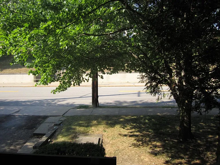 Front Deck & Yard