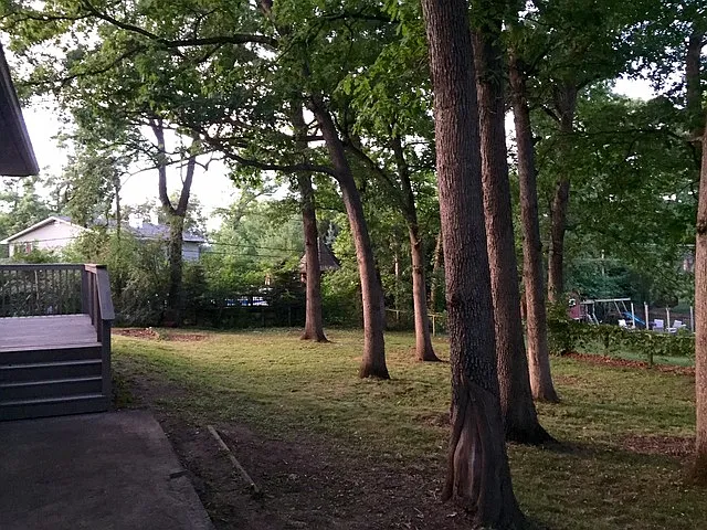 Property photo 5