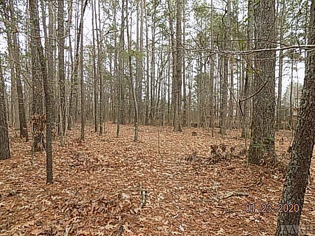 2nd image of 300 Beechnut Avenue LOT 5