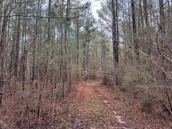 920A Auburn Dr SW, Bogue Chitto, MS 39629
