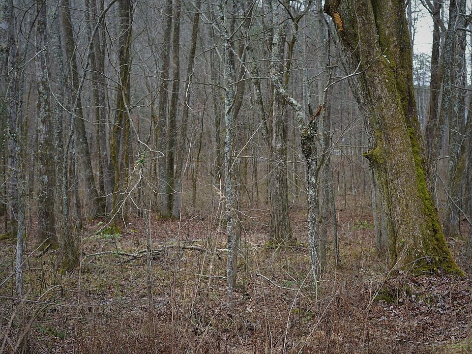 2nd image of 0 Bowater Rd S