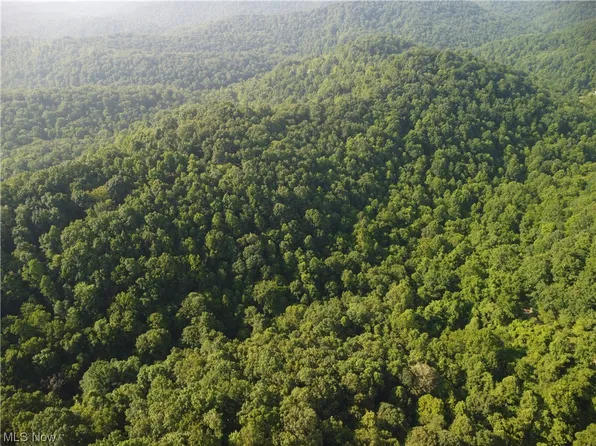 1 Jakes Fork Rd, Arnoldsburg, WV 25234