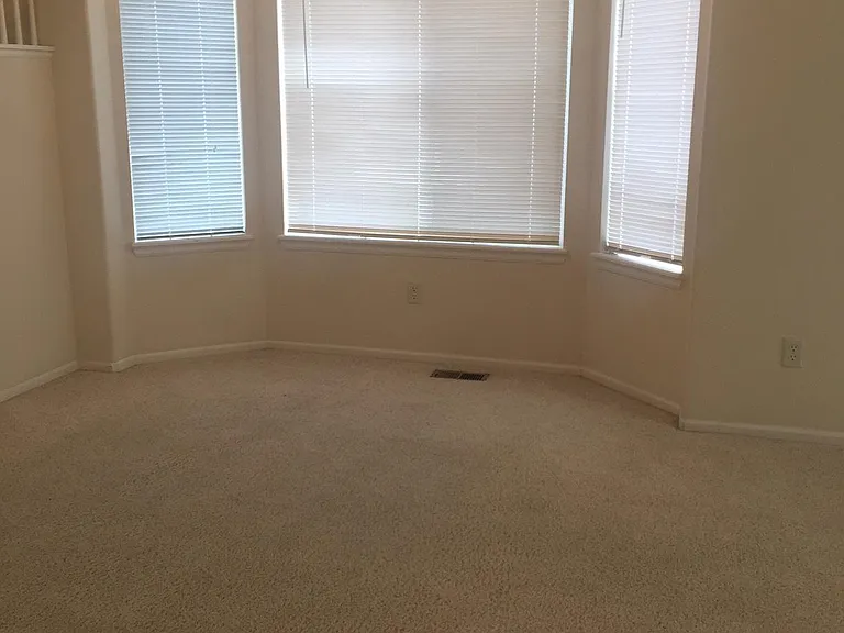 923 Grays Peak Dr — Photo 8