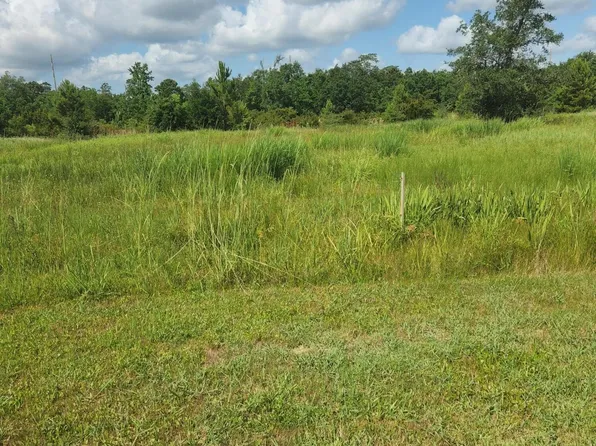 O'Atlantis Dr, Bay Saint Louis, MS 39520