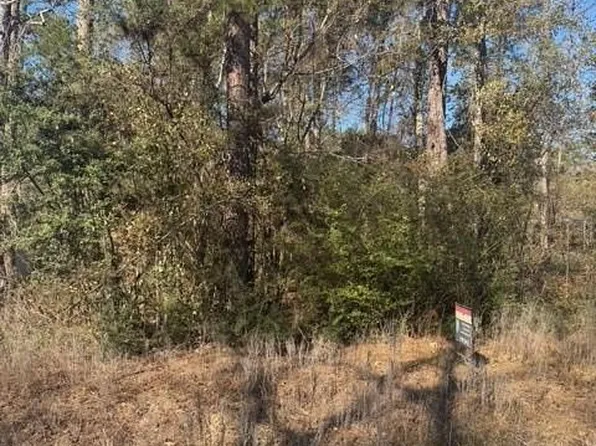 Sycamore Dr, Montgomery, TX 77356