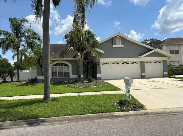 11417 Glenmont Dr, Tampa, FL 33635