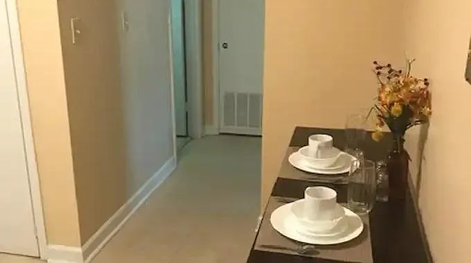 1 bed, 700 sqft, $800 — Photo 4