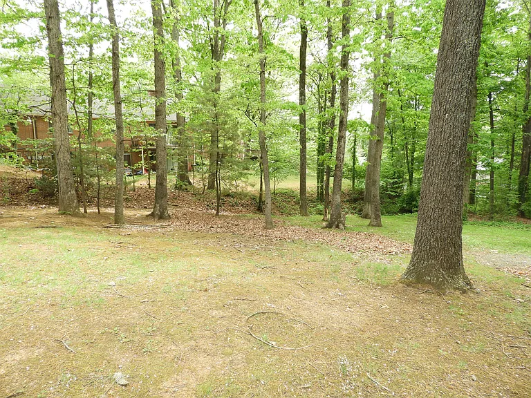 1803 Inglewood Dr — Photo 13