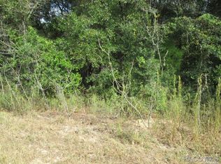 153 N Croft Ave, Inverness, FL 34453