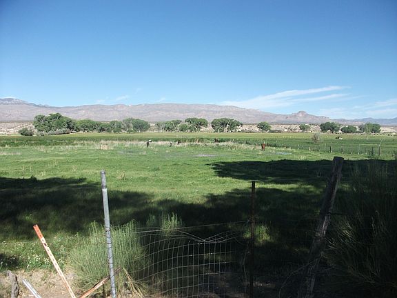 26 Shares Irrigation Water