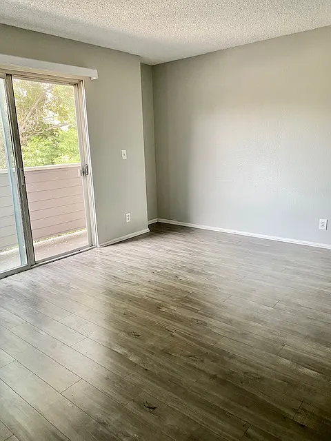 374 Shults Street — Photo 3