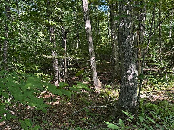 2nd image of Thompson Rd