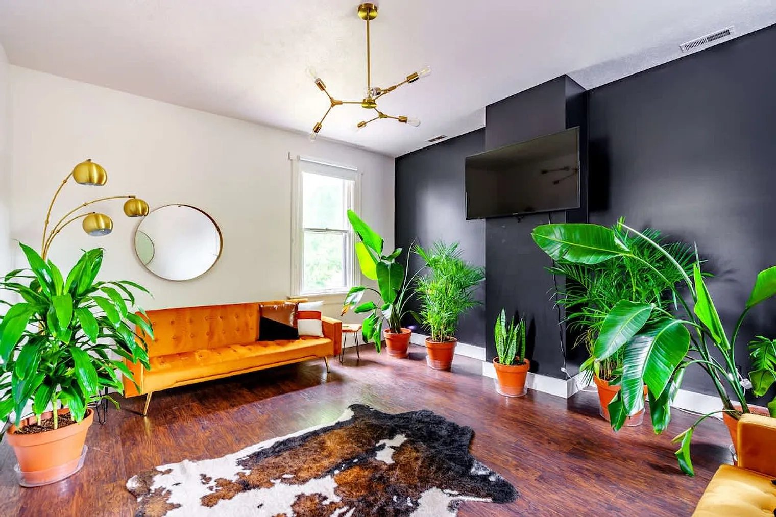 2 bed, 1.0 bath, 1496 sqft, $3,552 — Photo 3
