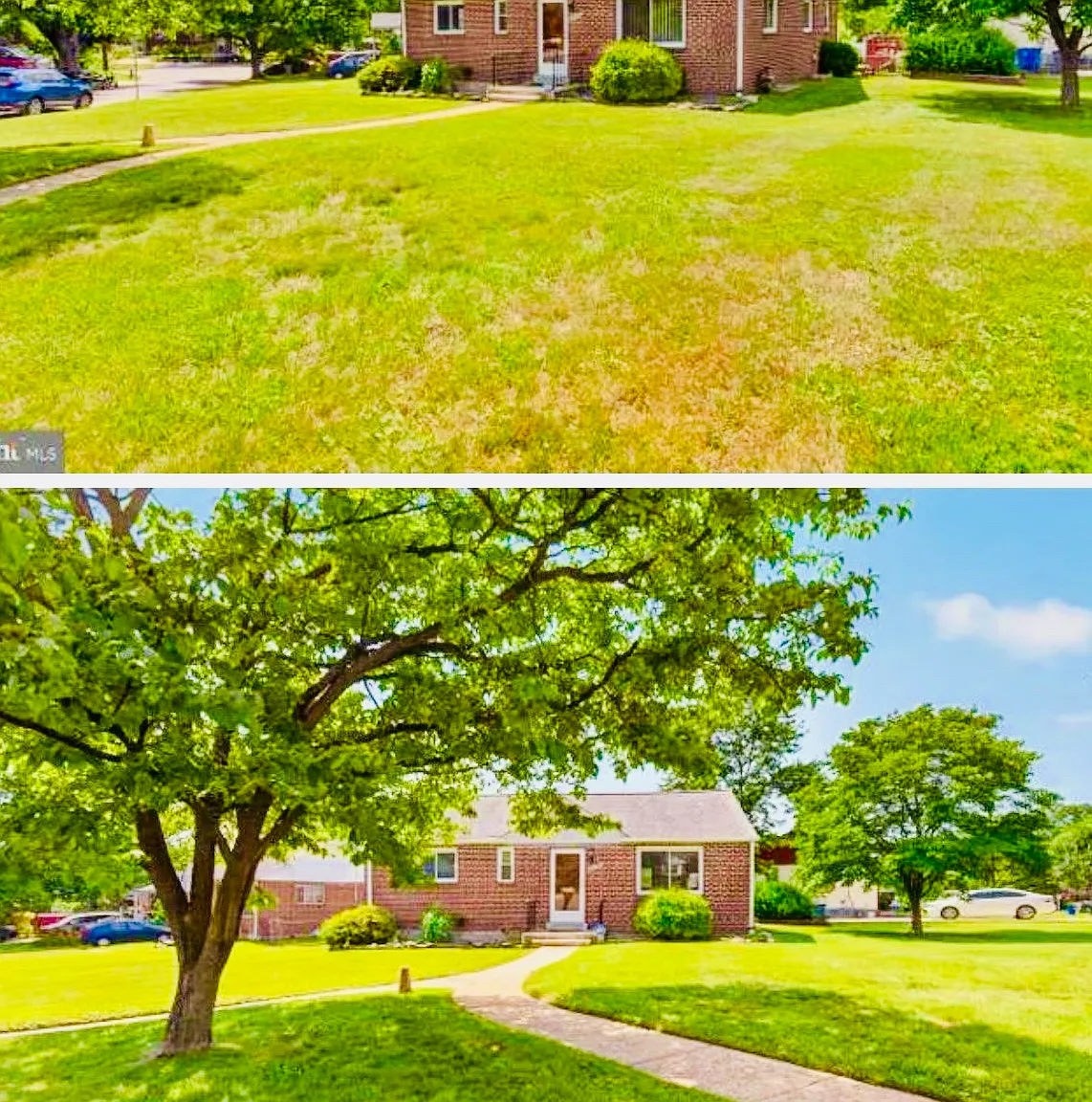 6 bed, 2060 sqft, $3,800 — Photo 1