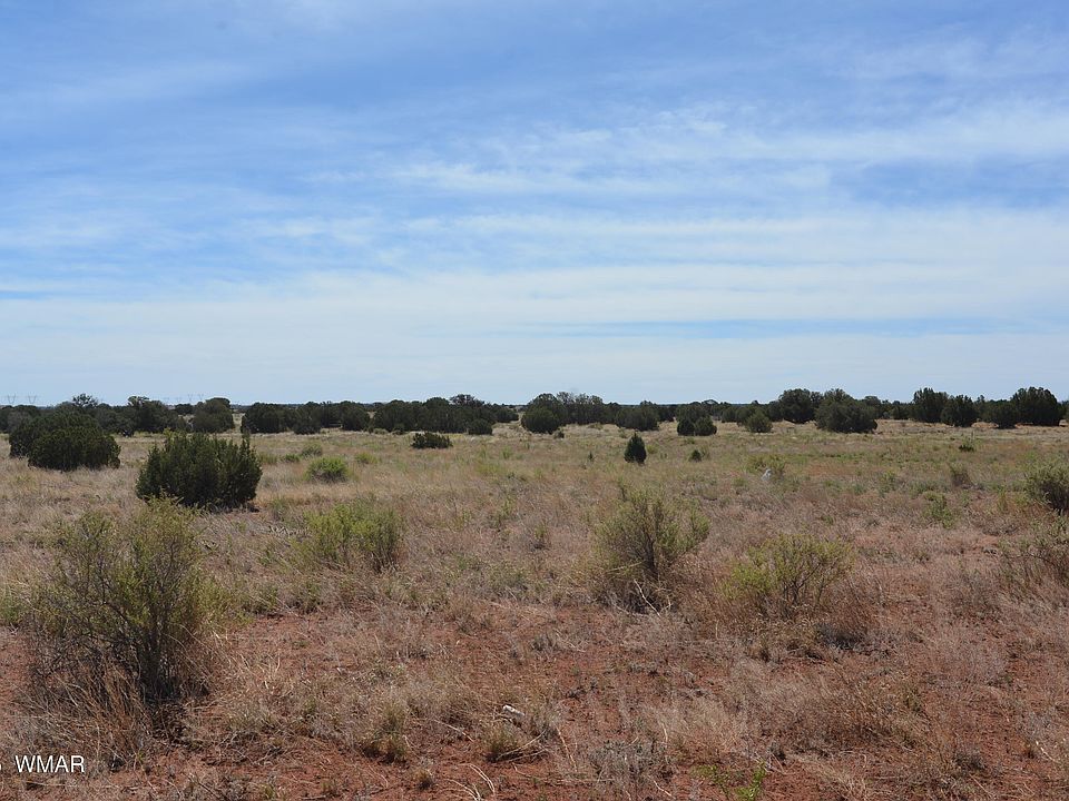 2nd image of 4962 Saddlehorn Rd