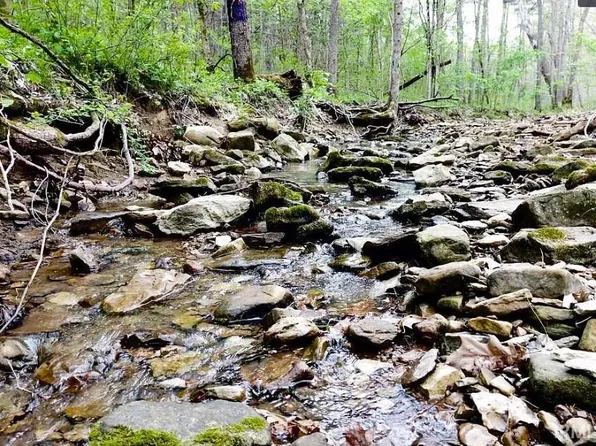 1102 N Pinewood Ln, Springville, IN 47462