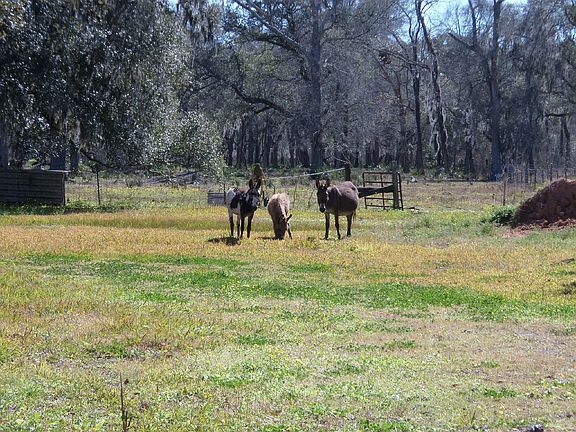 5th image of 5001 County Road 244
