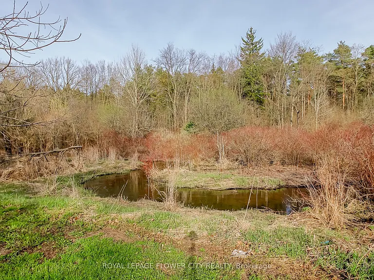 7555 Old Church Rd — Photo 36