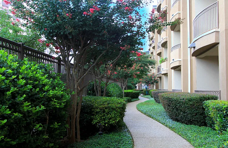 Villa Piana Apartments — Photo 10