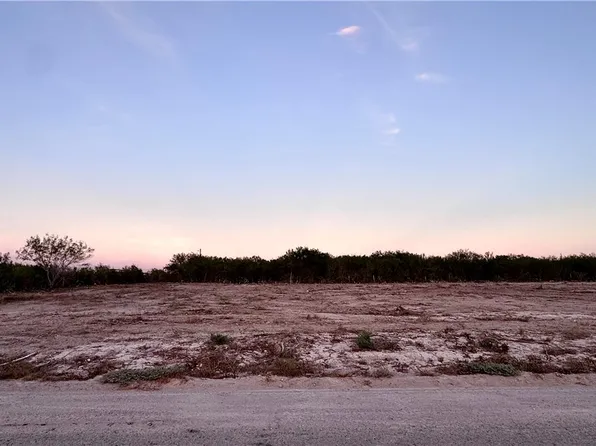 0 7th Avenue Eli Garza, Freer, TX 78357