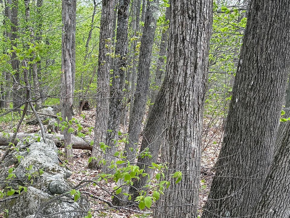 1st image of Lot #042 Tower Road #M 005 L 042