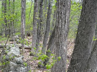 42 Tower Rd #M-005, Vienna, ME 04360