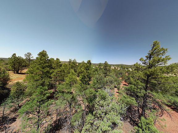 4th image of 1028 Etta Ln