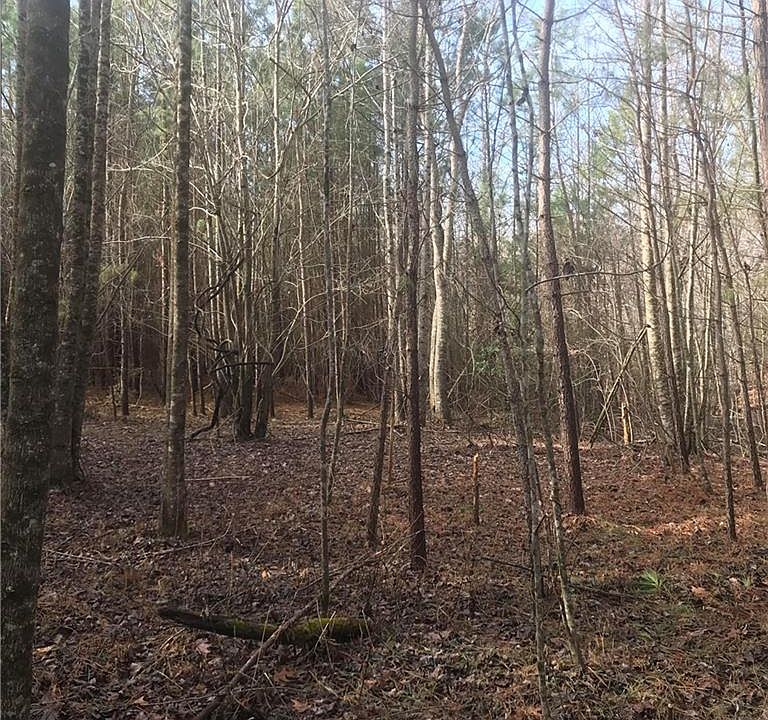 2nd image of 0-OFF Horseshoe Rd