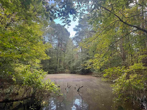 Joan Trl, Donaldson, AR 71941