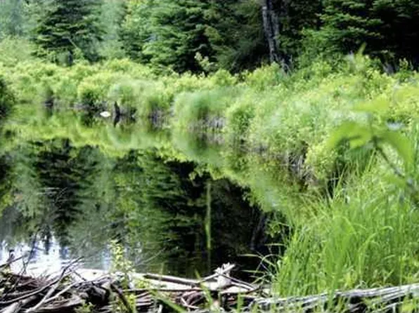 Map 3 - 30 Marshfield Flats Road, Marshfield, ME 04654