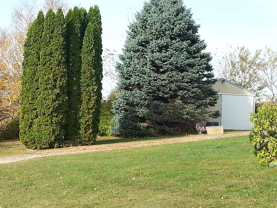 2nd image of 54314 County Rd S