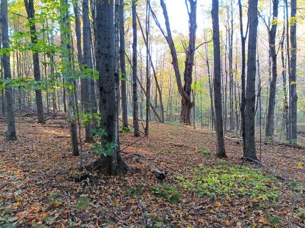 0 Durand Rd, Plattsburgh, NY 12901