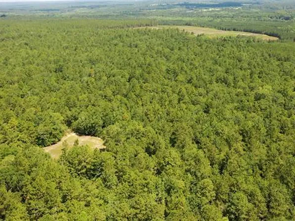 0 Huckleberry Finn Rd, Batesburg, SC 29006