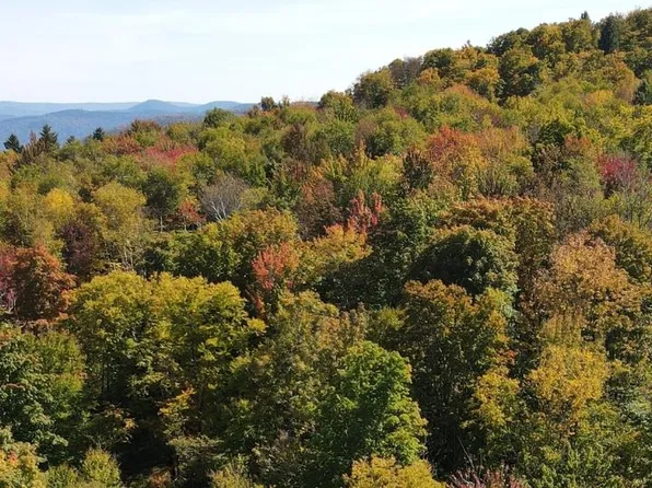 West Hill Road, Jamaica, VT 05343