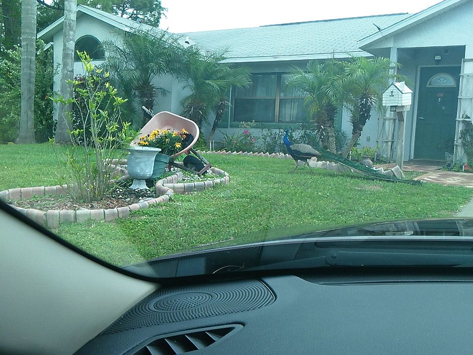 1st image of 2831 E Slater Dr