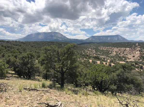 9 Cl&g Cir #1, Gardner, CO 81040