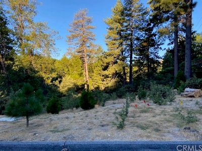 1180 Maverick Ln, Lake Arrowhead, CA, 92352